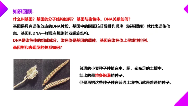 基因突变和基因重组初高中生物PPT课件