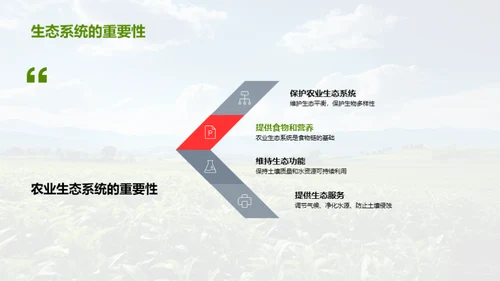 农业生态守护策略