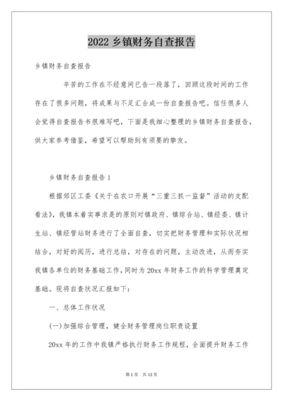 乡镇财务自查报告_3.docx