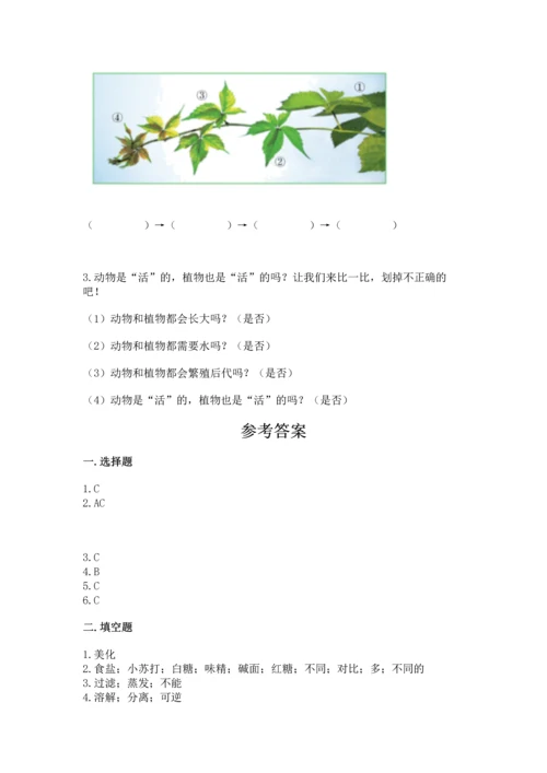 教科版科学一年级上册第一单元《植物》测试卷及完整答案（夺冠）.docx