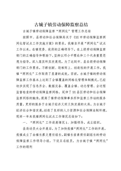 古城子镇劳动保障监察总结