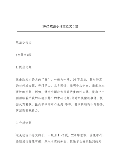 2022政治小论文范文5篇.docx