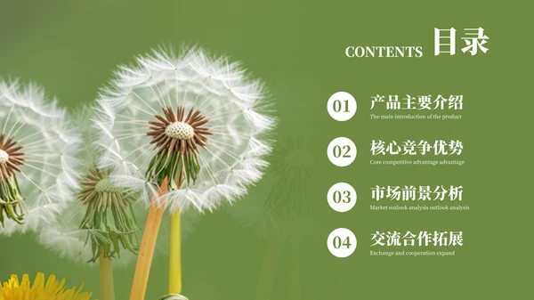 彩色简约风目录页PPT版式合集