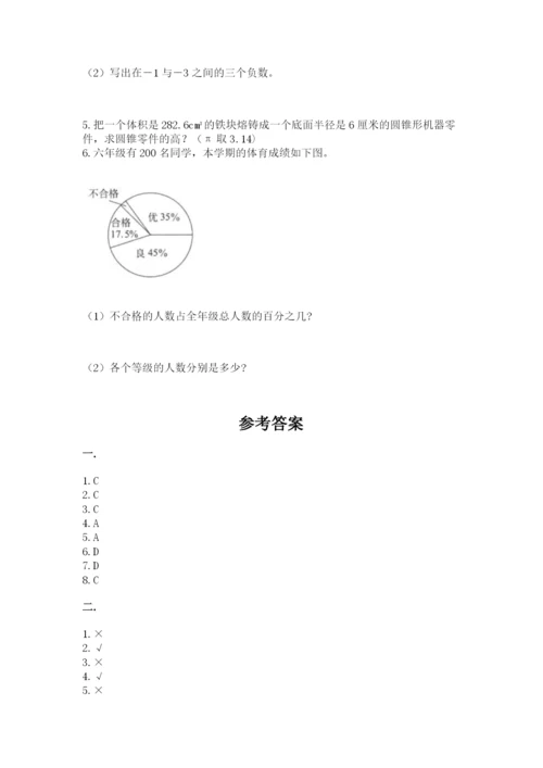 人教版数学六年级下册试题期末模拟检测卷【典优】.docx
