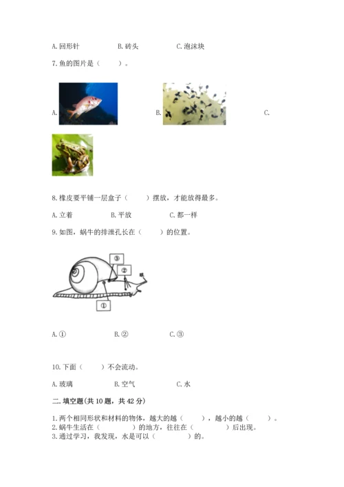 教科版一年级下册科学期末测试卷附答案ab卷.docx