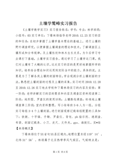 土壤学鹫峰实习报告 (2).docx