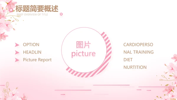 粉色唯美化妆品产品介绍动态PPT模板