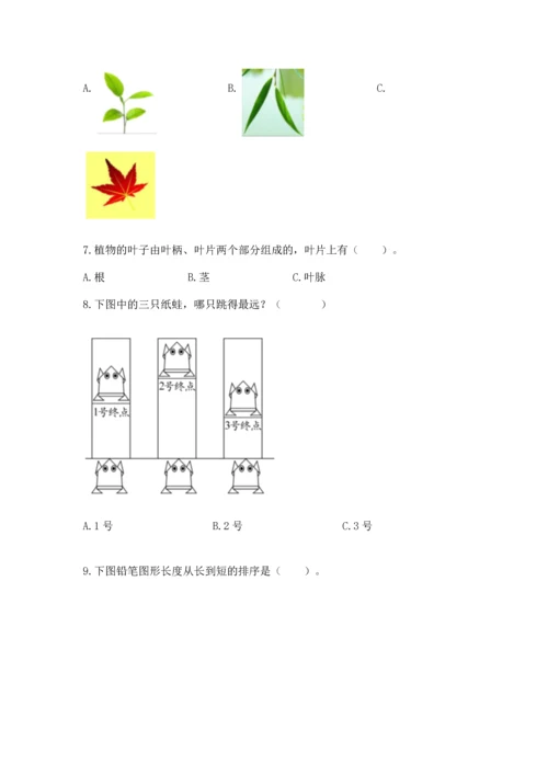 教科版一年级上册科学期末测试卷含完整答案【网校专用】.docx