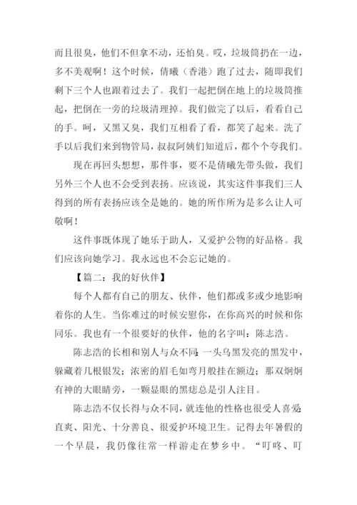 我的好伙伴作文800字.docx