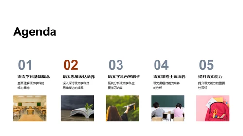 初中语文全面提升