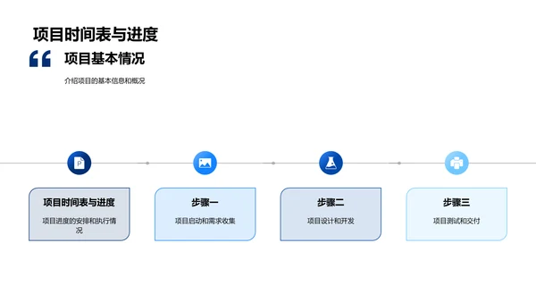 年度项目综述报告