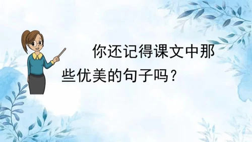 部编版语文二年级上册第三单元复习课件