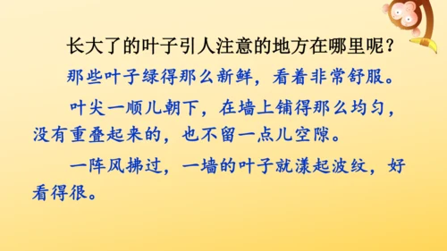 10 爬山虎的脚   课件