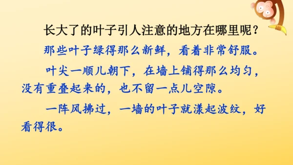 10 爬山虎的脚   课件