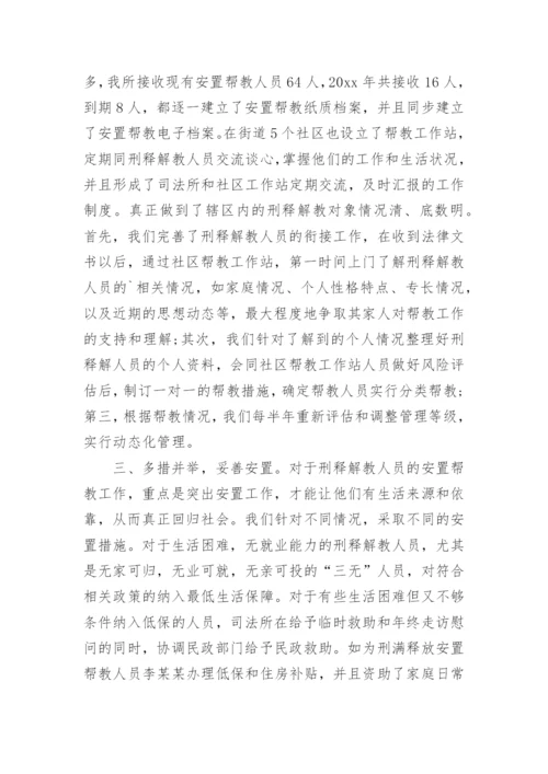 安置帮教工作总结.docx