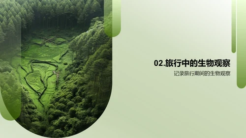 生态漫游：探索与认知