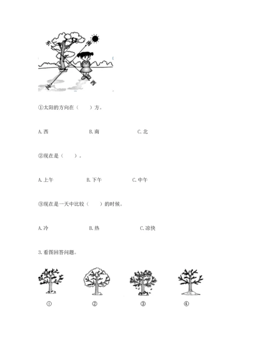教科版科学二年级上册《期末测试卷》精品【综合题】.docx