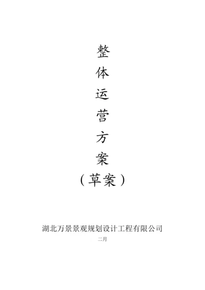 公司整体运营专题方案.docx