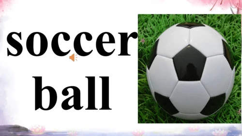 新目标七上Unit 5 Do you have a soccer ball? 词汇学习课件【 图文+