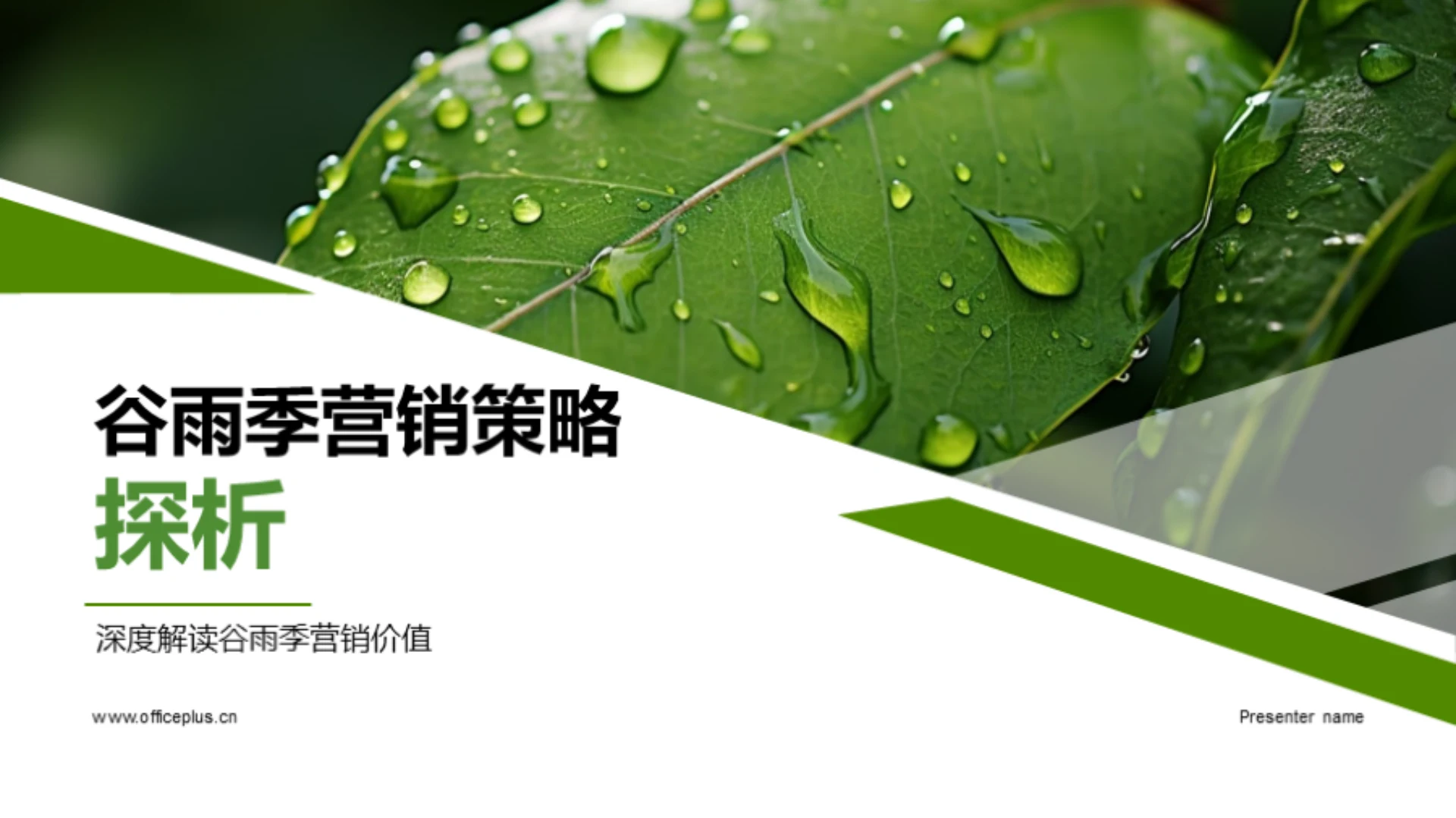 谷雨季营销策略探析