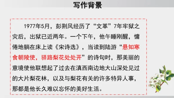 15 驿路梨花 课件