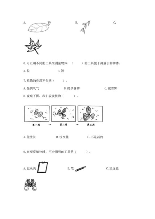 教科版科学一年级上册期末测试卷精品（黄金题型）.docx