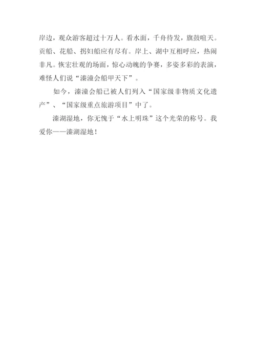 关于溱湖的作文-1.docx