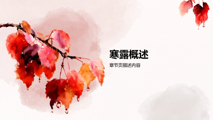 二十四节气寒露PPT模板