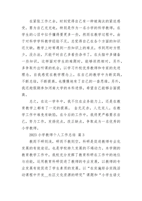 2023小学教师个人工作总结.docx
