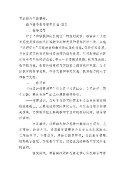 指导青年教师培养计划.docx