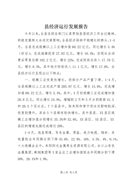 县经济运行发展报告.docx