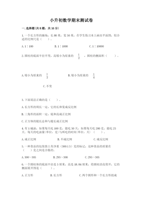 小升初数学期末测试卷学生专用.docx