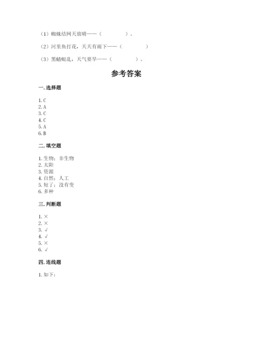 教科版小学二年级上册科学期末测试卷（模拟题）.docx