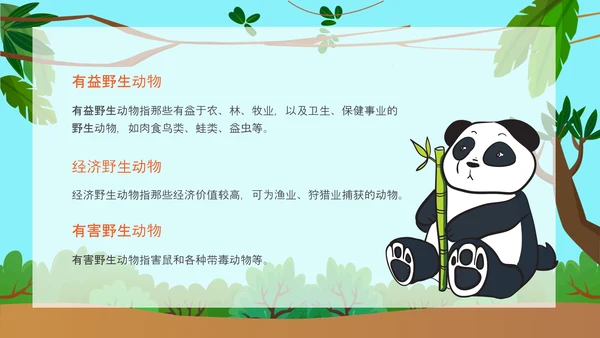 野生动物保护公益活动PPT模板