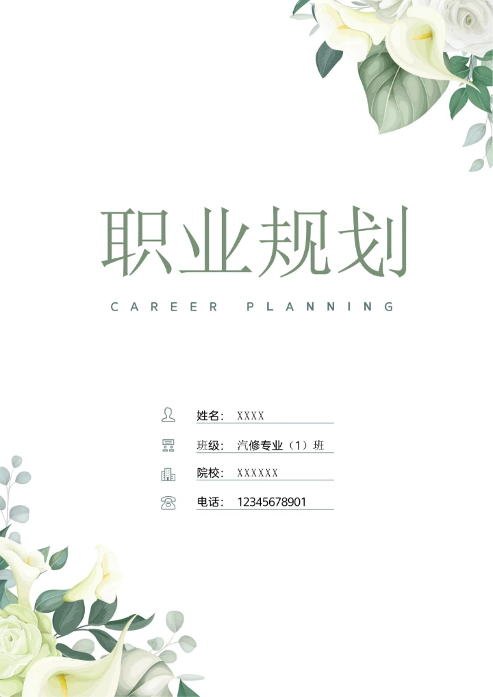 小清新职业生涯规划书