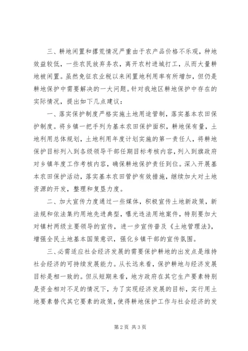 国土所关于耕地保护工作的调研报告.docx