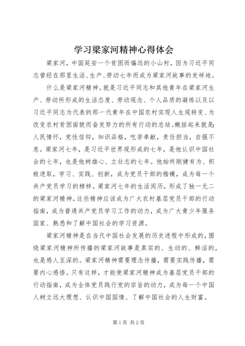 学习梁家河精神心得体会 (4).docx