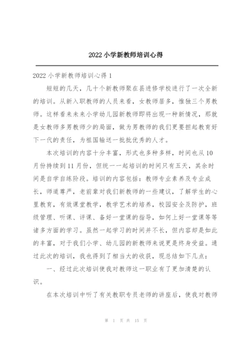 2022小学新教师培训心得.docx