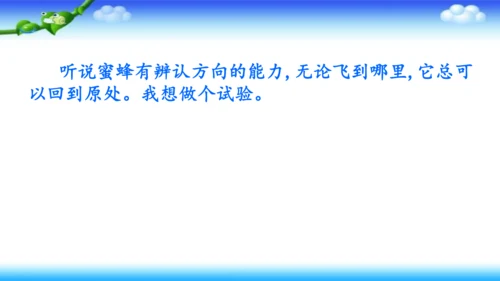 14《蜜蜂》课件