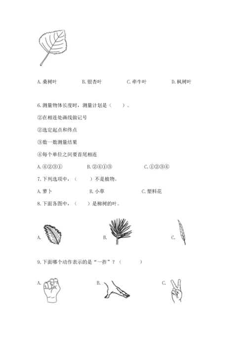 教科版科学一年级上册期末测试卷附下载答案.docx