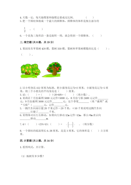 大洼县六年级下册数学期末测试卷a4版.docx