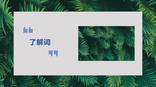 课外古诗词诵读 如梦令（常记溪亭日暮）课件