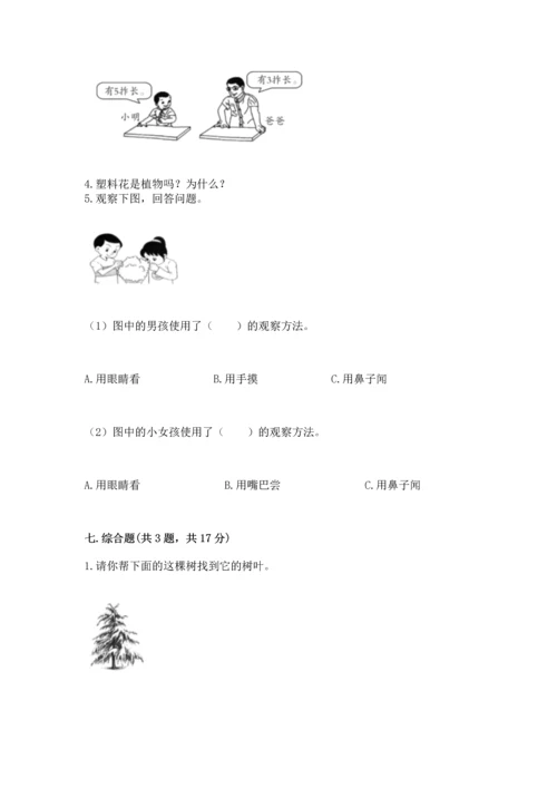 教科版一年级上册科学期末测试卷附完整答案（夺冠系列）.docx