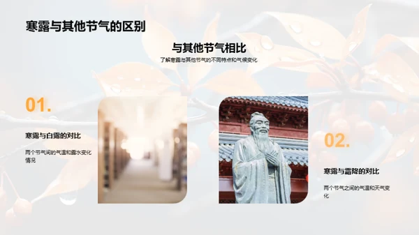 探索寒露节气