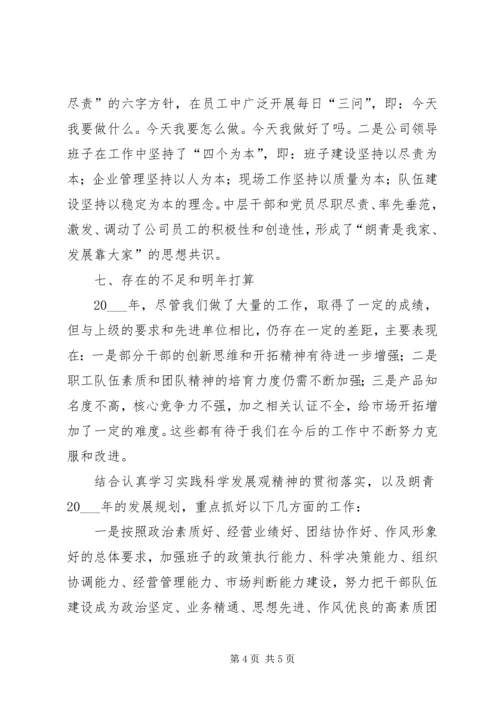 企业党支部年度总结.docx