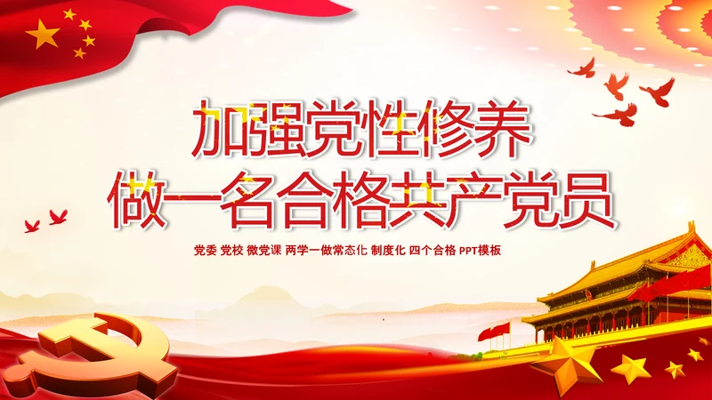加强党性修养做合格党员总结党课党支部PPT