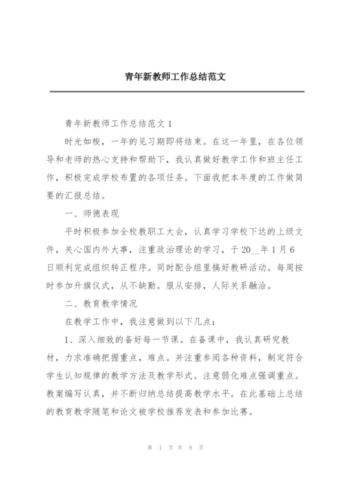 青年新教师工作总结范文.docx