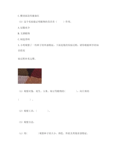 科学四年级下册第一单元《植物的生长变化》测试卷word版.docx
