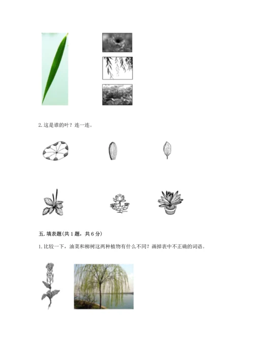 教科版科学一年级上册第一单元《植物》测试卷精品（各地真题）.docx