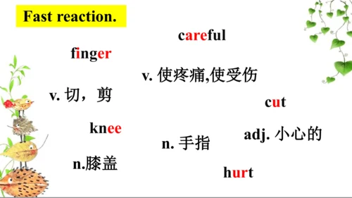 Module 9 Unit 2 I bumped my head.  课件(共34张PPT)